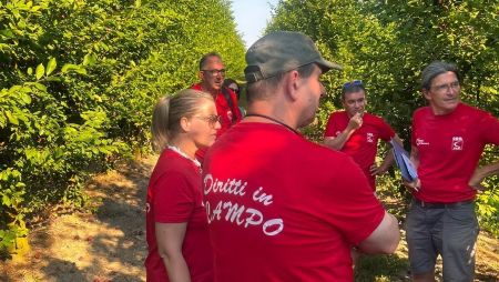 Le Brigate del lavoro impegnate nelle campagne ravennati. Venerdì 3 luglio la giornata conclusiva con un appuntamento a Palazzo Rasponi a Ravenna